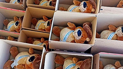 Biber-Plüschtiere in Kartons