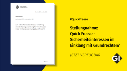 GI Stellungnahme zum Thema "Quick-Freeze"